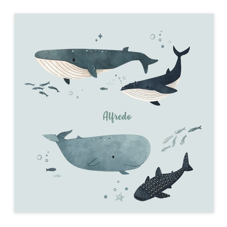 Picture of Whale Gift Set